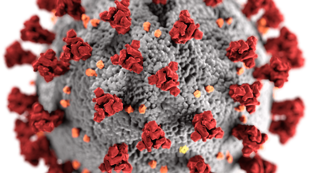 Image of coronavirus