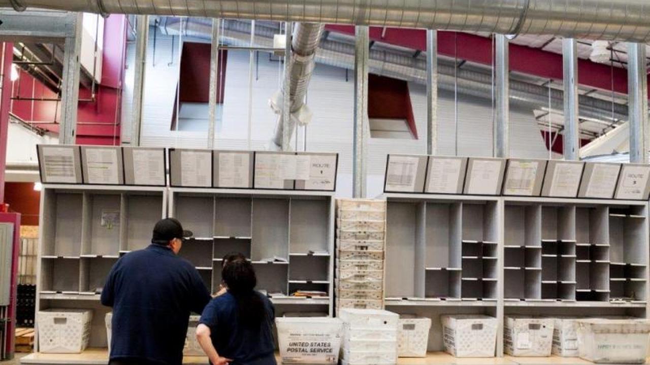 image of mail sorting