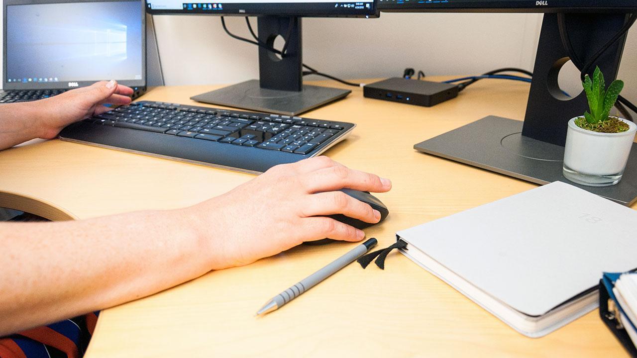 pair of hands using a computer