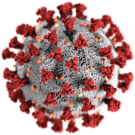 Image of coronavirus