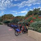 Row of orange-and-blue rental bikes parked by flower beds under a bright blue sky
